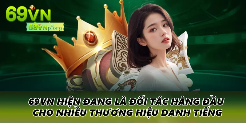 69VN hiện đang là đối tác hàng đầu cho nhiều thương hiệu danh tiếng